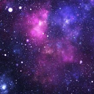 Meet your Posher, Ariel